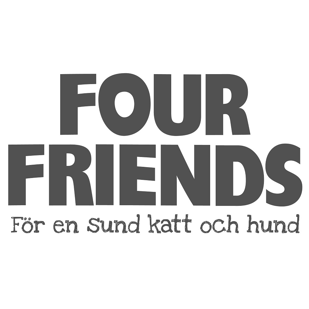 FOUR FRIENDS